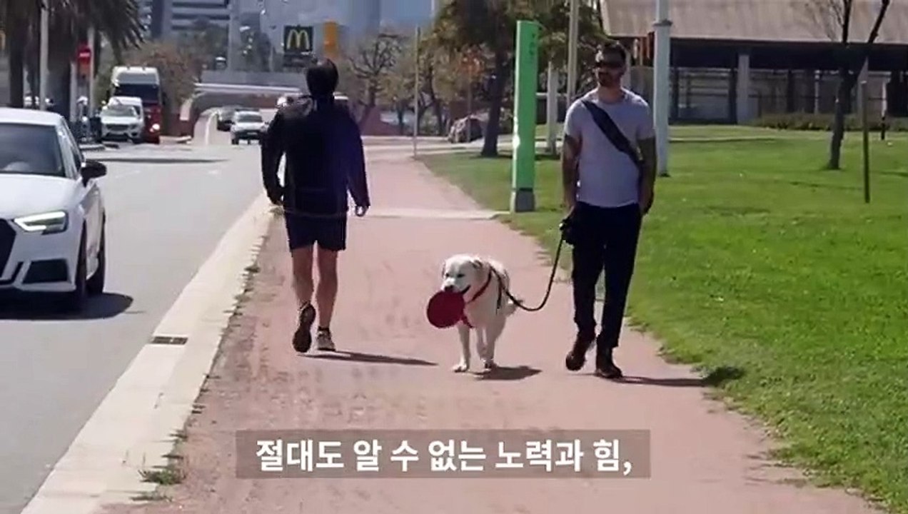 홍대출장서비스 홍대출장서비스O1OE6683E6402｛카톡GMC3 라인gmc3｝ 홍대출장마사지샵 홍대출장안마on홍대출장안마cos여3♪⇔∃마사지황형♥≍≪