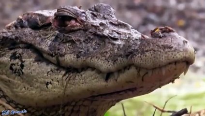 홍대출장서비스 홍대출장서비스O1Og4832g2166｛카톡QQ565｝ 홍대출장마사지샵 홍대출장안마on홍대출장안마cos여3♪⇔∃마사지황형♥∹≪