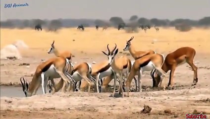 산청출장서비스 산청출장서비스O1Og4832g2166｛카톡QQ565｝ 산청출장마사지샵 산청출장안마on산청출장안마cos여3♪⇔∃마사지황형♥◕≪