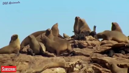 원주출장서비스 원주출장서비스O1Og2154g6609｛카톡LOT45｝ 원주출장마사지샵 원주출장안마on원주출장안마cos여3♪⇔∃마사지황형♥◖≪