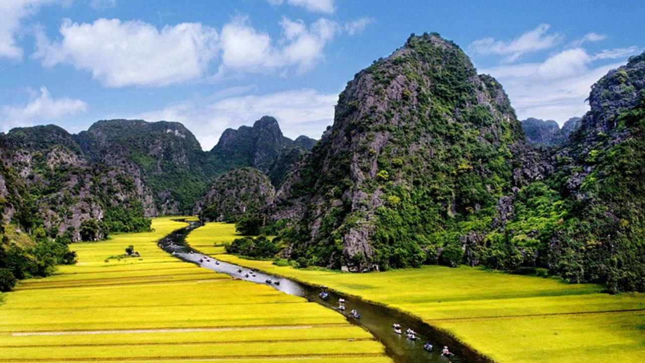 Thiên nhiên Việt Nam -20/02/2020