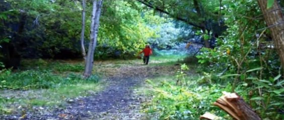 The Enchanted Treehouse (Opening Scene)