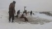 ANIMALS RESCUE:  RUSSIAN FARMERS RUSH TO RESCUE HORSES TRAPPED IN ICE