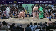 Daieisho vs Goeido - Hatsu 2020, Makuuchi - Day 4