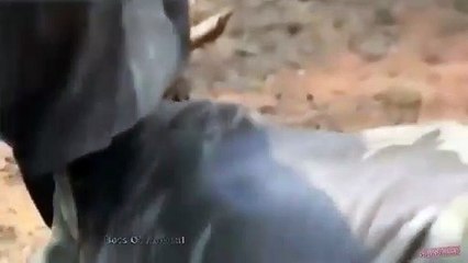 대전출장서비스 대전출장서비스O1OE6579E3382｛카톡VS67｝ 대전출장마사지샵 대전출장안마on대전출장안마cos여3♪⇔∃마사지황형♥◙≪