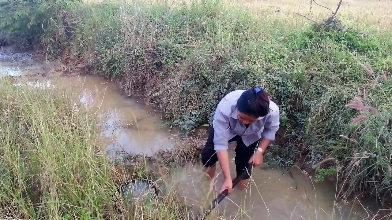 How To Catches Fish in Cambodia Traditional Fishing (part 012)