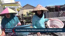 Pulau Pasaran Sentra Pengolahan Ikan Terbesar di Lampung