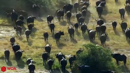 당진추천업소【OI0↔29O8↔68O③】당진추천업소예약♥≍≪