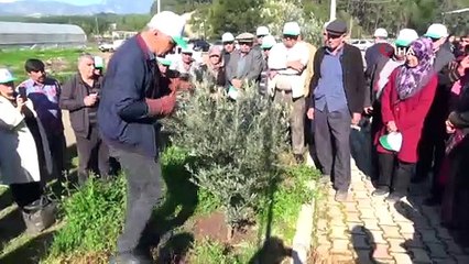 Çiftçilere uygulamalı budama eğitimi