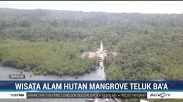 Wisata Alam Hutan Mangrove Teluk Ba'a