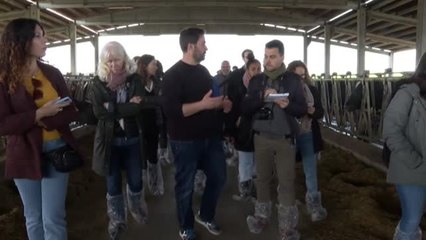 Danone apuesta por las granjas familiares y la producción de proximidad para garantizar la calidad de sus productos