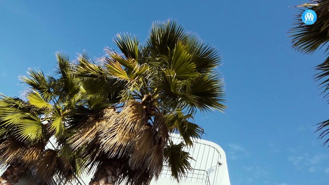 Le Centre de Formation de l'OM obtient le Label Prestige de la FFF