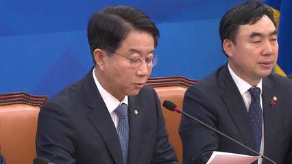 민주당 "한시적 개별소비세 인하 추진" / YTN