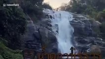 Thai climber rescues hapless dog stuck on 260ft high waterfall