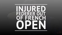 Injured Federer out of French Open