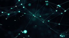 Pexels Video Web