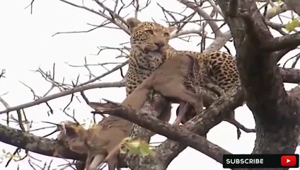 부산추천업소【OI0↔29O8↔68O③】부산추천업소예약♥◤≪