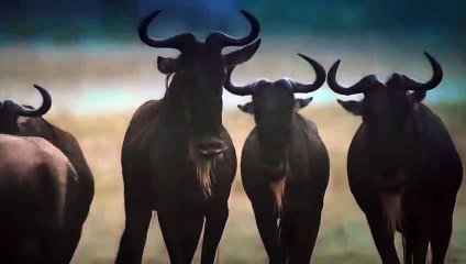 문경출장서비스 문경출장서비스O1OE2541E2560｛카톡YTN9｝ 문경출장마사지샵 문경출장안마on문경출장안마cos여3♪⇔∃마사지황형♥≠≪