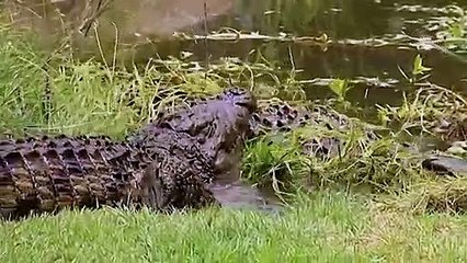 안산출장서비스 안산출장서비스O1Og2118g2518｛카톡TAT22｝ 안산출장마사지샵 안산출장안마on안산출장안마cos여3♪⇔∃마사지황형♥∴≪