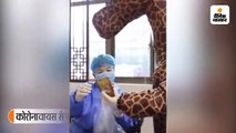 कोरोनावायरस से बचने जिराफ की ड्रेस में अस्पताल पहुंची महिला