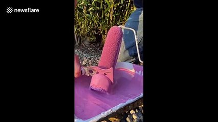US man goes viral on TikTok for oddly satisfying paint roller cleaning clips