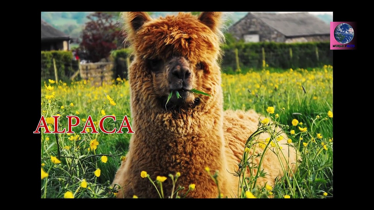 दुनिया में सबसे ज्यादा कमाने वाली फिल्म | Top Enigmatic Facts About the World - Ep 11