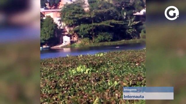 Homem se afoga em lagoa de Linhares