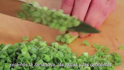 107 Rollitos de primavera