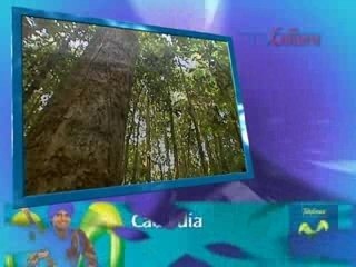 PRIORIDADES AMBIENTALES - LIMA