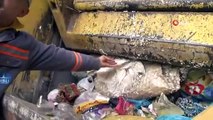 Çöp konteynerinde yeni doğmuş bebek bulan işçi konuştu