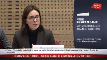 Download Video: Brexit : la secrétaire d'Etat aux affaires européennes auditionnée  - Les matins du Sénat (20/02/2020)