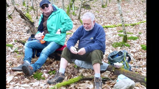 2020-02-MERY ES BOIS