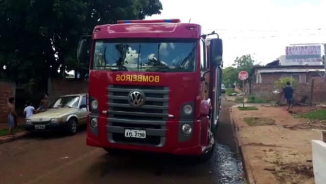 Bombeiros fazem vistoria em árvores que oferecem risco, no Jardim Melissa