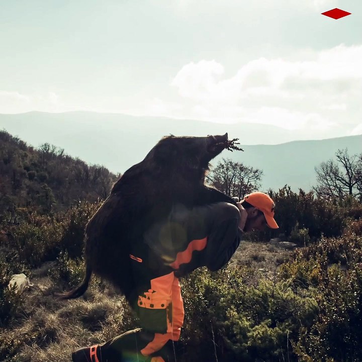 Les chasseurs sont-ils les premiers écologistes de France ?