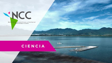 El lago de Za­potlán, en Mé­xi­co, en pe­li­gro de con­ver­tir­se en un ver­te­de­ro de ba­su­ra