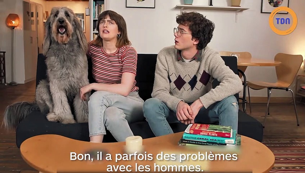 Un collier qui traduit les aboiements du chien en injures