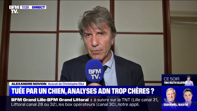 Pour l'avocat de Christophe Ellul, les morsures sur le corps d'Elisa Pilarski sont compatibles avec l'attaque de plusieurs chiens