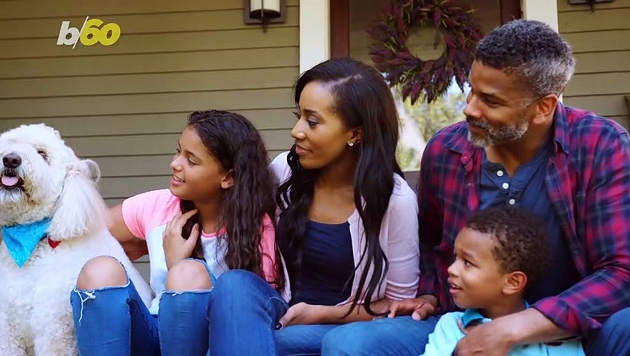 Dog Won't Fetch? This is Why Your Dog Won't Do What You Want