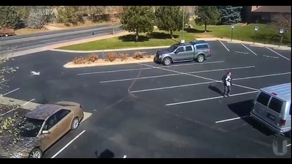 Une enfant se fait attaquer par un chien sur un parking