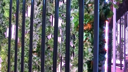 The Baltic Farm Receives Approval!