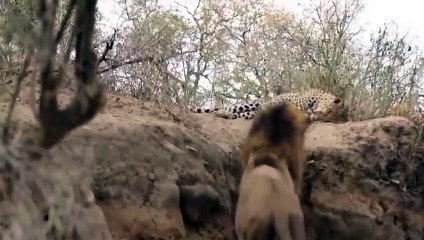 창원출장서비스 창원출장서비스O1Og4832g2166｛카톡MGM85｝ 창원출장마사지샵 창원출장안마on창원출장안마cos여3♪⇔∃마사지황형♥∳≪