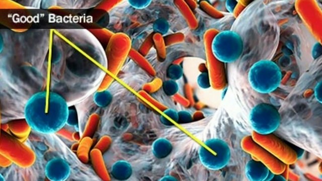 Corona virus क्या है? चीन सरकार के झूठ का पर्दाफास, Corona Virus Symptoms & Treatment