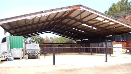 Descubierta la primera fábrica de tabaco subterránea de Europa