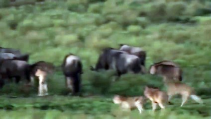 연수출장서비스 연수출장서비스O1OE2541E2560｛카톡YTN9｝ 연수출장마사지샵 연수출장안마on연수출장안마cos여3♪⇔∃마사지황형♥◜≪