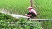 Farmer keeps up daily routine in quarantined Vietnamese district