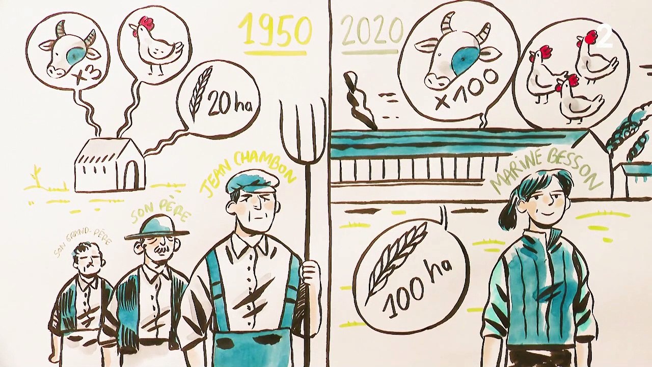 Agriculture : l'évolution des exploitations depuis plus d'un demi-siècle