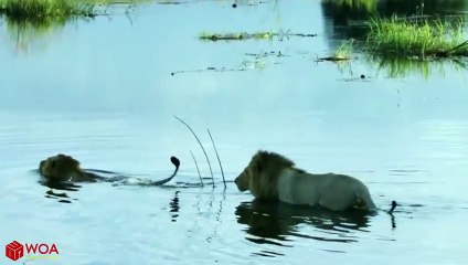 문경출장서비스 문경출장서비스O1OE2104E4640｛카톡YOK88｝ 문경출장마사지샵 문경출장안마on문경출장안마cos여3♪⇔∃마사지황형♥≄≪