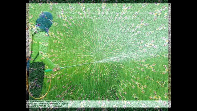 Amigos falsos são como pesticidas: São tóxicos, e deixam veneno por onde passam! [Frases e Poemas]