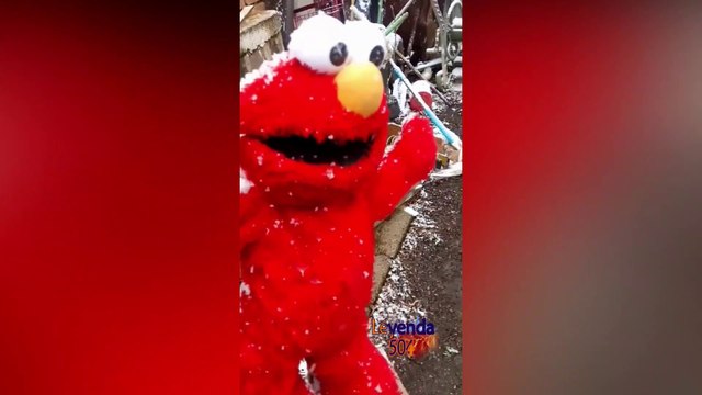 Videos Graciosos #1 (Los mejores del 2020) | VIDEOS DIVERTIDOS | VIDEOS GRACIOSOS