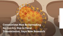 Coronavirus May Be Spreading So Quickly Due to Fecal Transmission, Says New Research